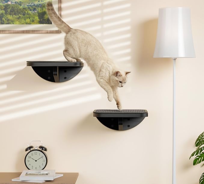 Cat Wall Shelves for Large Cats Set, Wall Mounted Climbing Shelves for Sleeping - Image 9