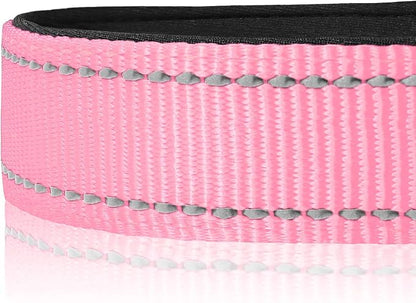 Joytale Reflective Dog Collar, Soft Neoprene Padded, Metal D-Ring, Nylon Pet - Image 4