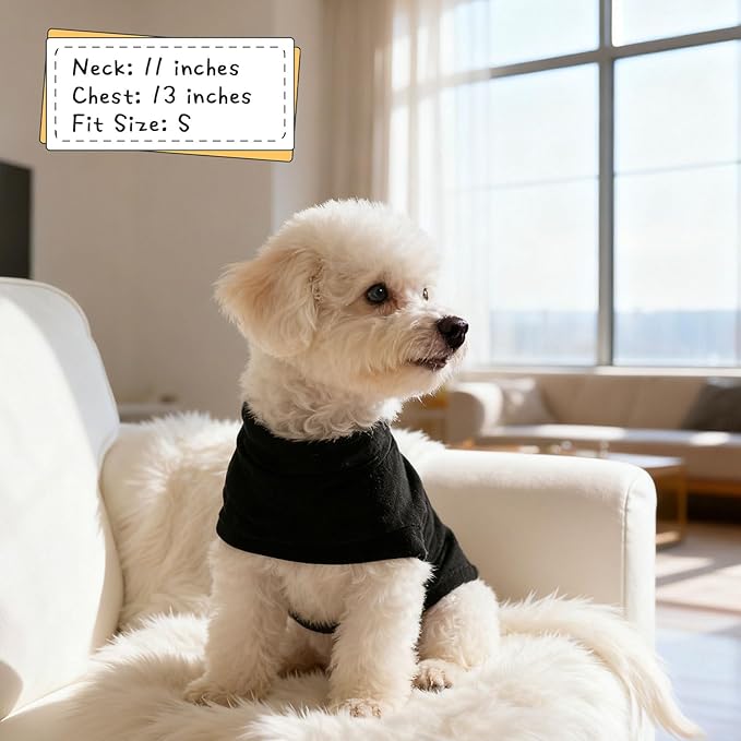 EXPAWLORER Soft Cat Sweater - Image 5