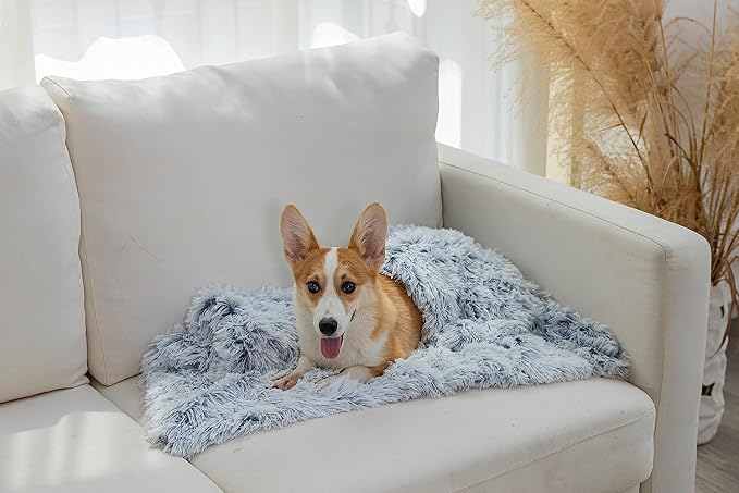 PJYuCien Dog Blankets for Small Dogs Washable - Image 7
