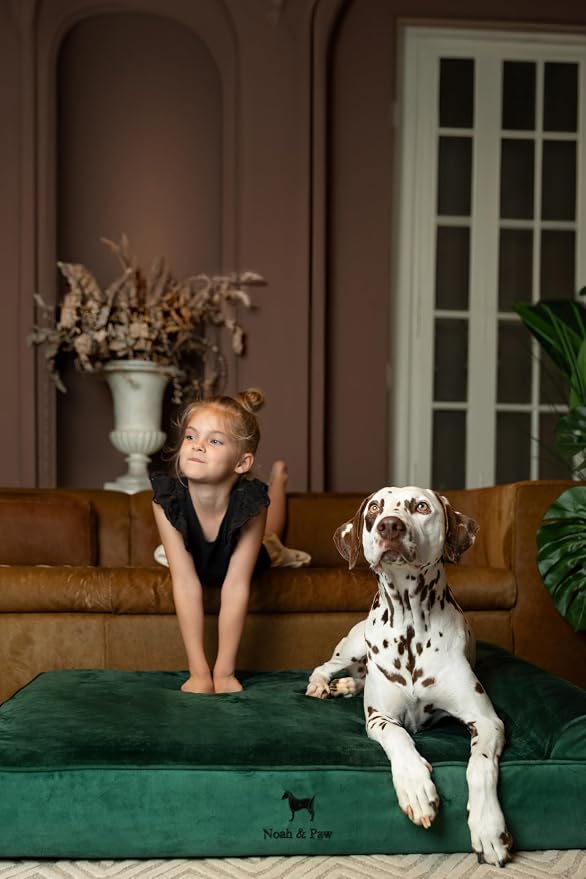 NOAH & PAW XL Dog Bed, Orthopedic Large Dog Beds, Eggshell Memory Foam Infused - Image 3