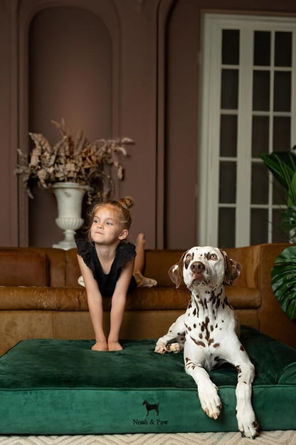 NOAH & PAW XL Dog Bed, Orthopedic Large Dog Beds, Eggshell Memory Foam Infused - Image 3