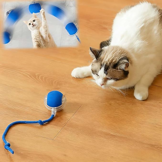 Interactive Cat Toys for Indoor Cats, Agility Move Cat Balls, Motion Activated by Goodqualityforyou