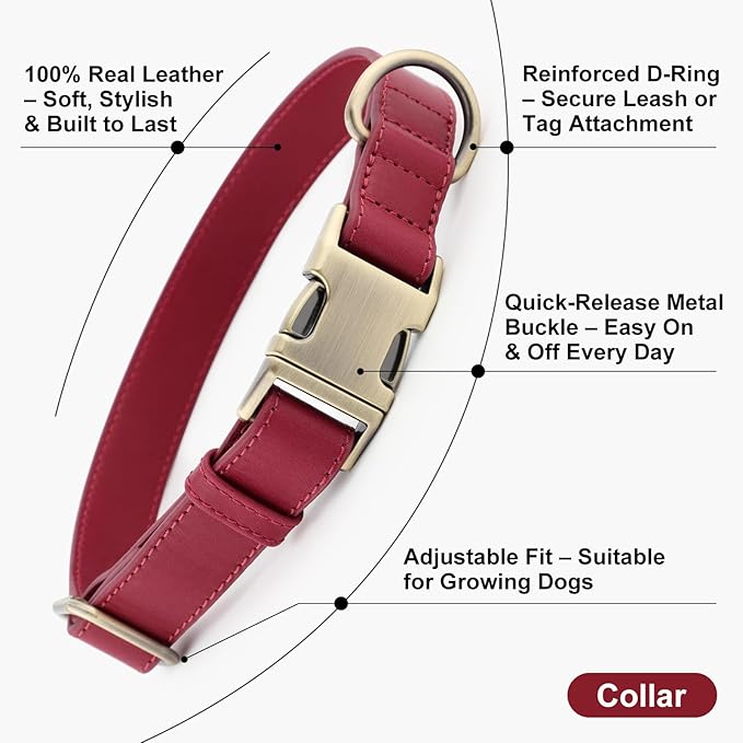 Plutus Pet Genuine Leather Dog Collar – Adjustable Pet Collar - Image 2