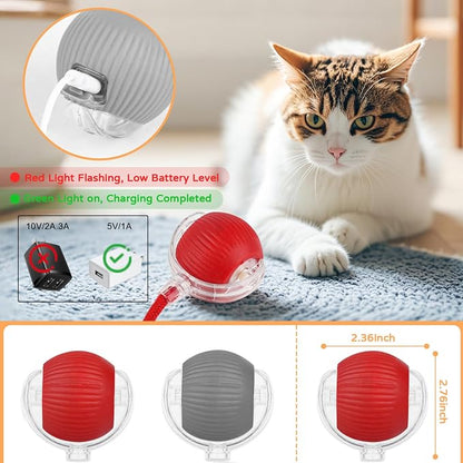 2025 New 2Pack Cat Ball Kitten Toys - Image 4