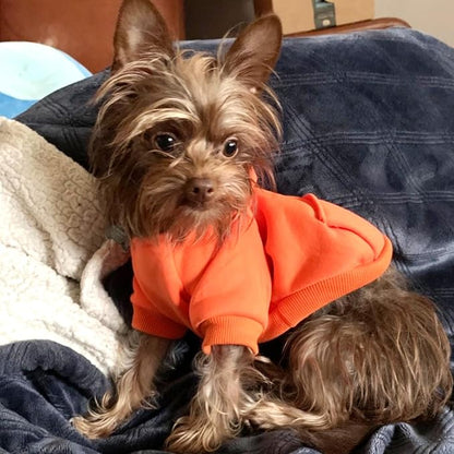 Jecikelon Winter Dog Hoodie Sweatshirts - Image 3