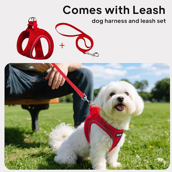 PetiFine Step in Small Dog Harness and Leash Set, Breathable All Weather Air - Image 5