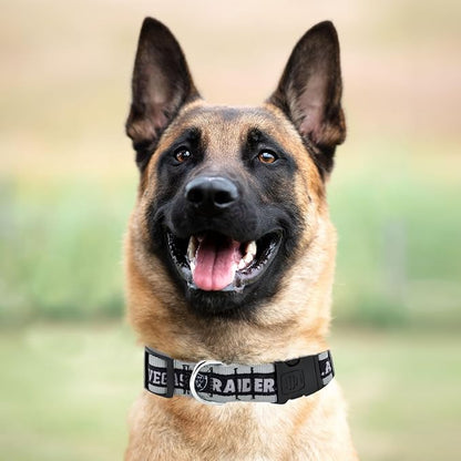 Pets First NFL Raiders Licensed PET COLLAR, Extra Large - Image 5