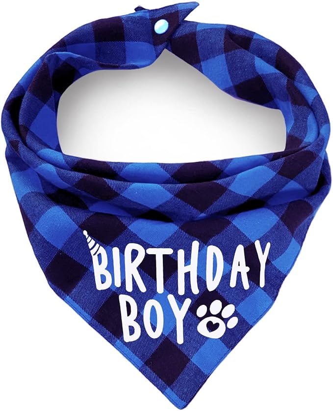 Birthday Plaid Dog Bandana by ZIRVYIR