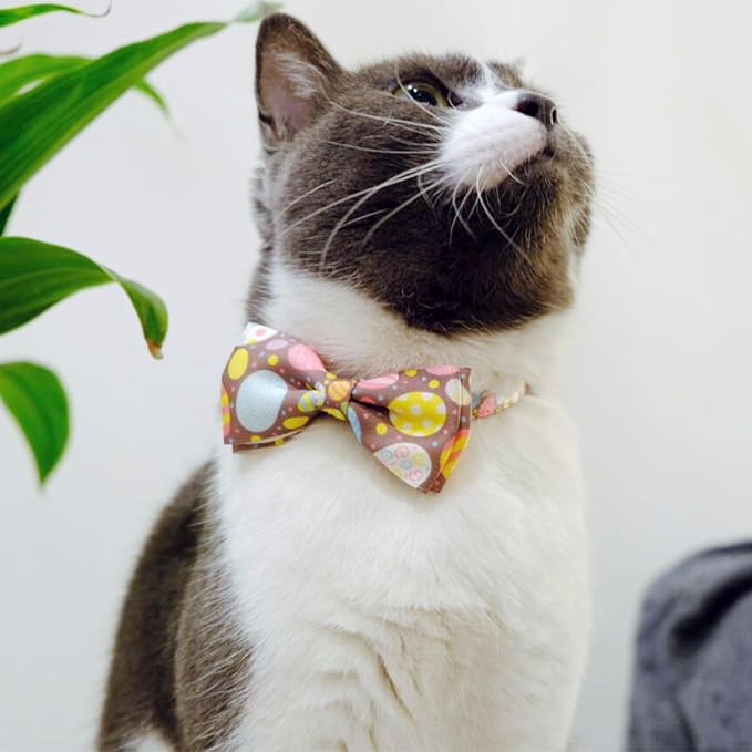 2 Pack Easter Day Cat Collar - Image 7