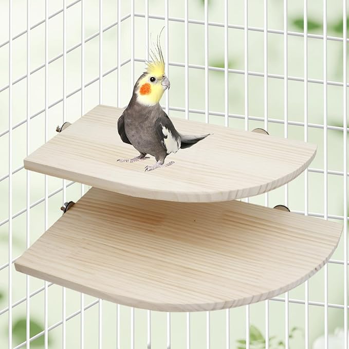 Bird Perch Stand Platform, 13.7 × 7.8 Inch Large Natural Wooden Small Animals - Image 4