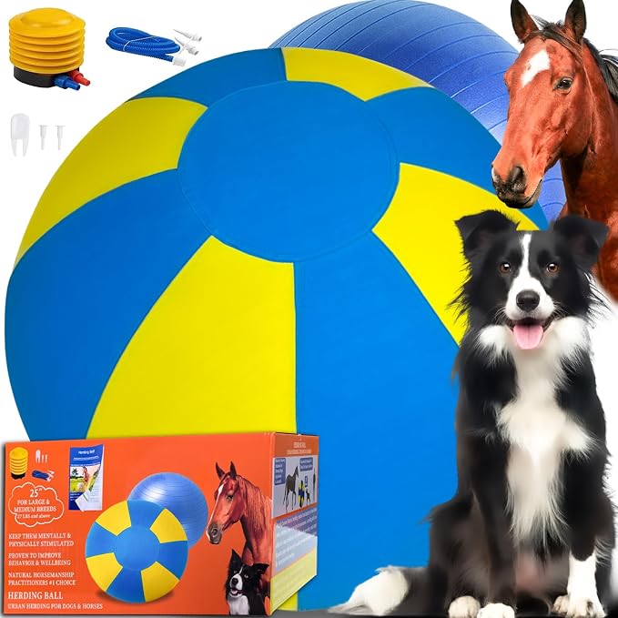 Herding Ball for Dogs, Dual Layered Set for Australian Shepherd, Agility by Unknown