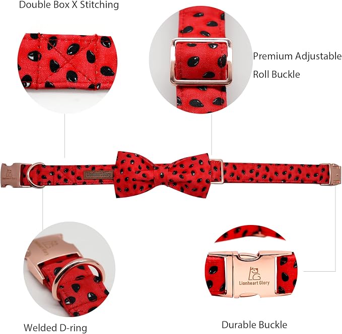 Lionheart glory Dog Collar, Watermelon Dog Collar - Image 4