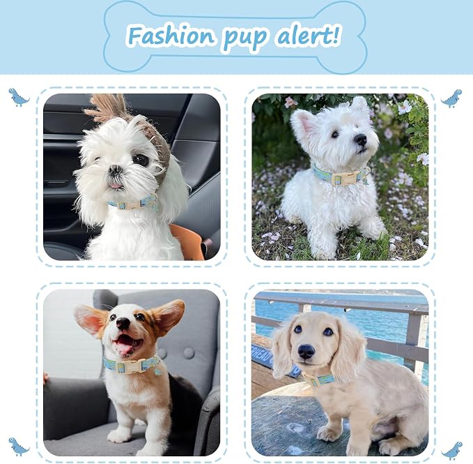 Dinosaur Dog Collar for Extra Small Dogs, Cute Puppy Collars - Image 3