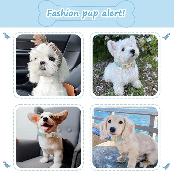 Dinosaur Dog Collar for Medium Dogs, Cute Puppy Collars - Image 3