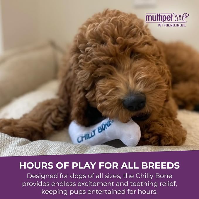 Multipet Chilly Bone Dog Toy - Image 7