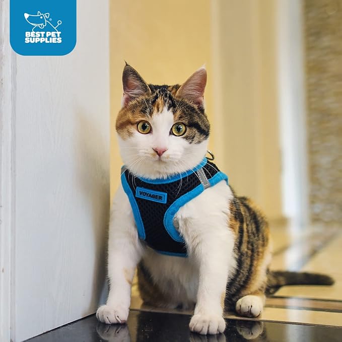 Best Pet Supplies - Image 9
