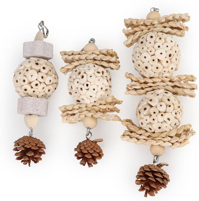 Wontee Bird Toys 3 Pack Parrot Foraging Hanging Toys Sola Ball Natural Nuts - Image 7