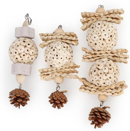 Wontee Bird Toys 3 Pack Parrot Foraging Hanging Toys Sola Ball Natural Nuts - Image 7