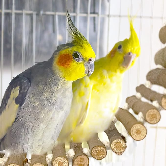 SIMENA Bird Cage Ladder, Parrot Bridge Made of Natural Wood and Rope, - Image 7