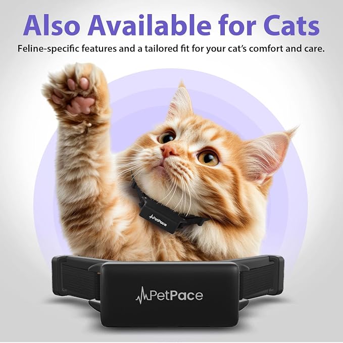 V3.0 Dog Health Monitor – AI Health Collar - Image 9