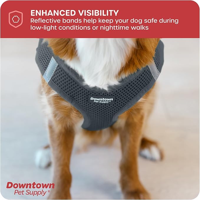 Downtown Pet Supply Step in Dog Harness No Pull, Titanium - Image 7