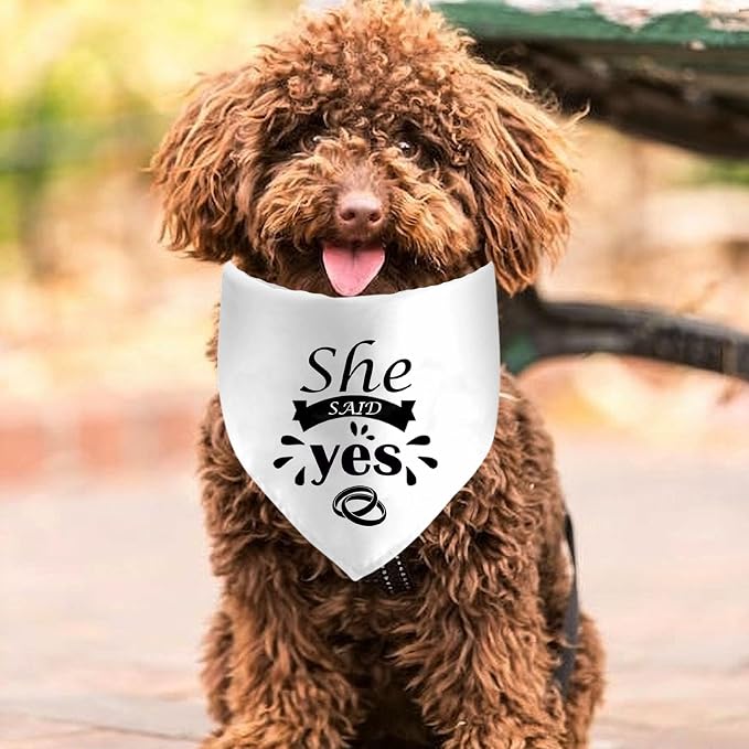 She Said Yes Dog Bandanas, Wedding Dog Scarf, Engagement Announcement Pet Scarf - Image 3