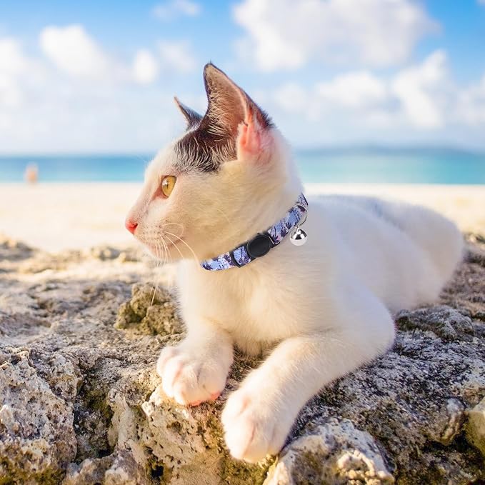 SCENEREAL Breakaway Cat Collar - Image 7