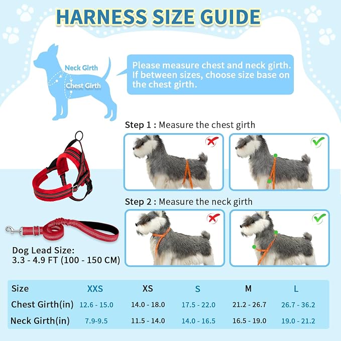 SlowTon No Pull Small Dog Harness and Leash Set, Puppy Soft Vest Harness Neck & - Image 5