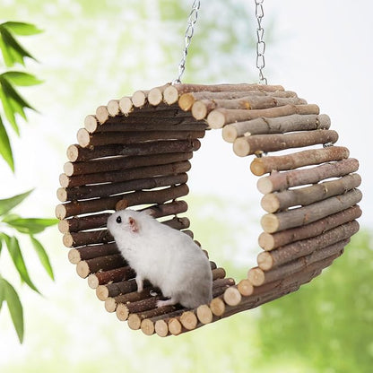 Bird Parrot Swing Toys, Hanging Bird Tree Caves, Natural Apple Wood Parrot - Image 4