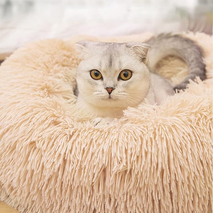 Nisrada Cat Beds for Indoor Cats, 20 Inch Dog Bed for Small Melium Large Dogs - Image 4