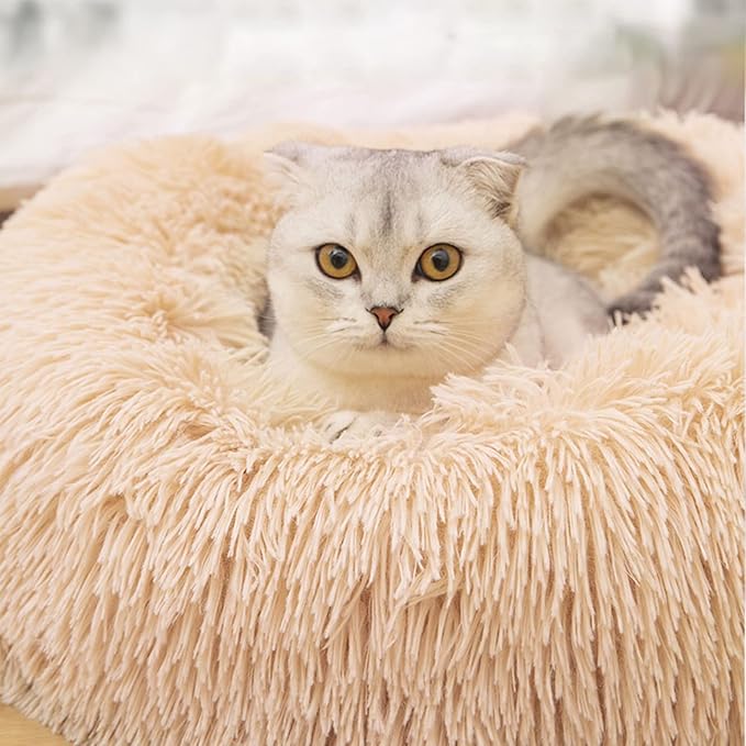 Nisrada Cat Beds for Indoor Cats, 24 Inch Dog Bed for Small Melium Large Dogs - Image 4