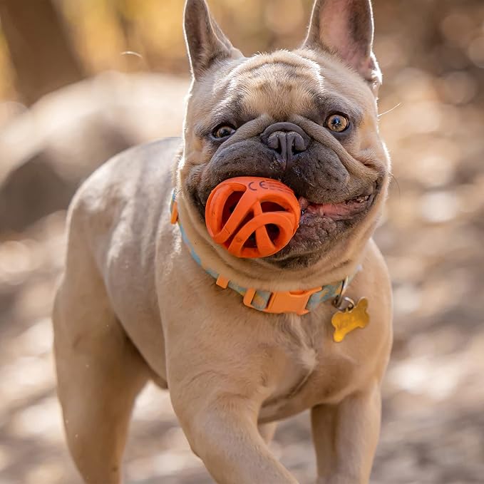 Chuckit! Air Fetch Ball Dog Toy, - Image 5