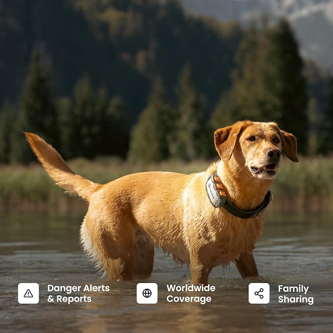 Tractive XL Smart Dog GPS Tracker | Live Pet Tracker - Image 8