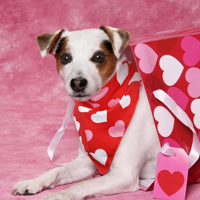 Whaline 6 Pack Valentine's Day Pet Bandanas Heart Pet Neckerchief Shamrock - Image 5