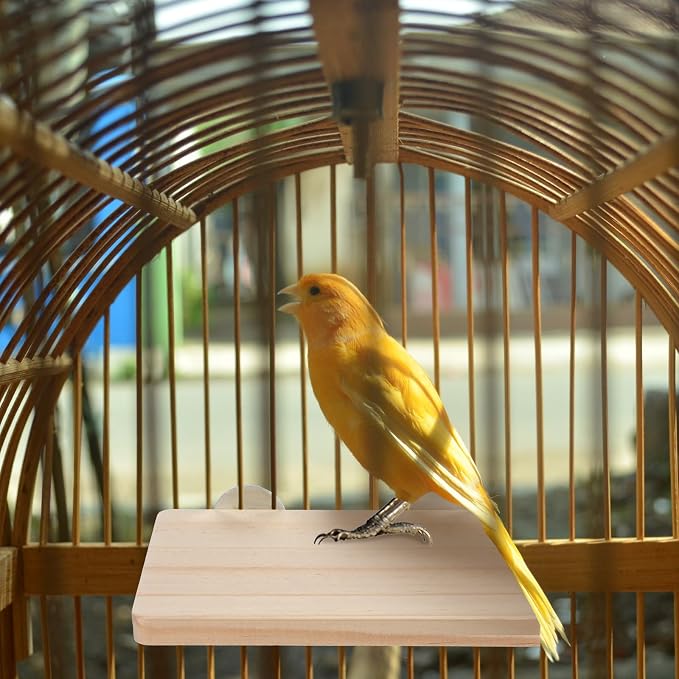 2PCS Bird Perch Platform Flat, 5.9 × 3.14 Inches Bird Cage Platform Birds Perch - Image 7