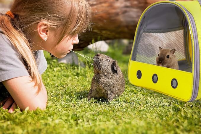 Guinea Pig Carrier Backpack, Bunny Rat Bird - Image 6