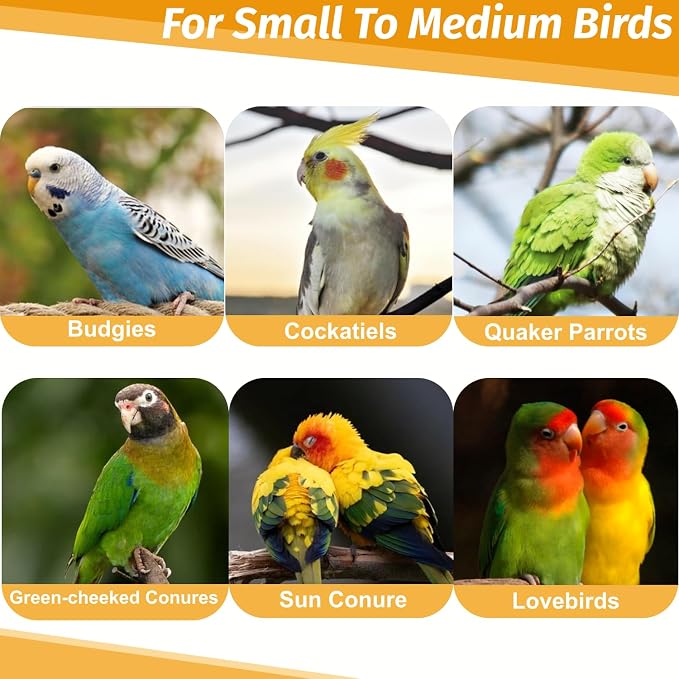 3-Ring Bird Wooden Swing Climbing Toy Chewable Cotton Rope Perch - Image 6