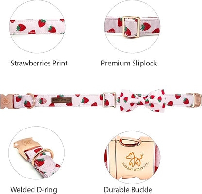 Elegant little tail Dog Collar, Strawberries Print Pet Collar Summer Dog Collar - Image 2