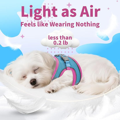 AIITLE Comfortable Dog Harness and Leash Set - Image 4