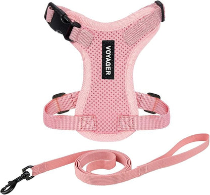 Voyager Escape-Proof Step-in Lock Cat Harness & 5ft Neoprene-Handle Leash Set by BestPetSuppliesLLC