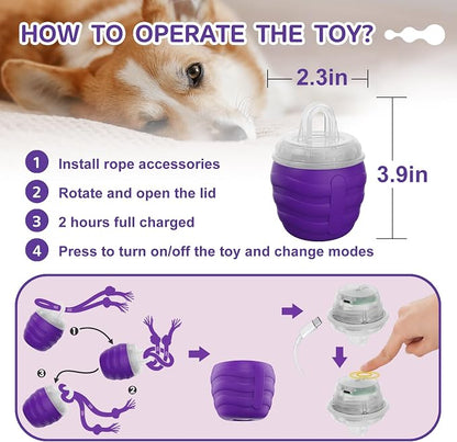 Interactive Dog Toy, Motion Activated Rolling Squeaky Ball - Image 5