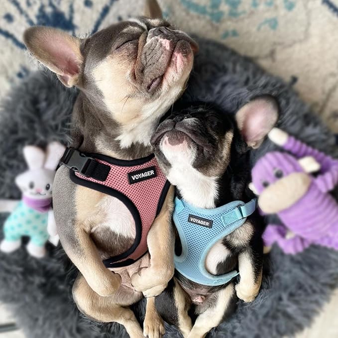 Voyager Step-in Pet Harness - Image 8