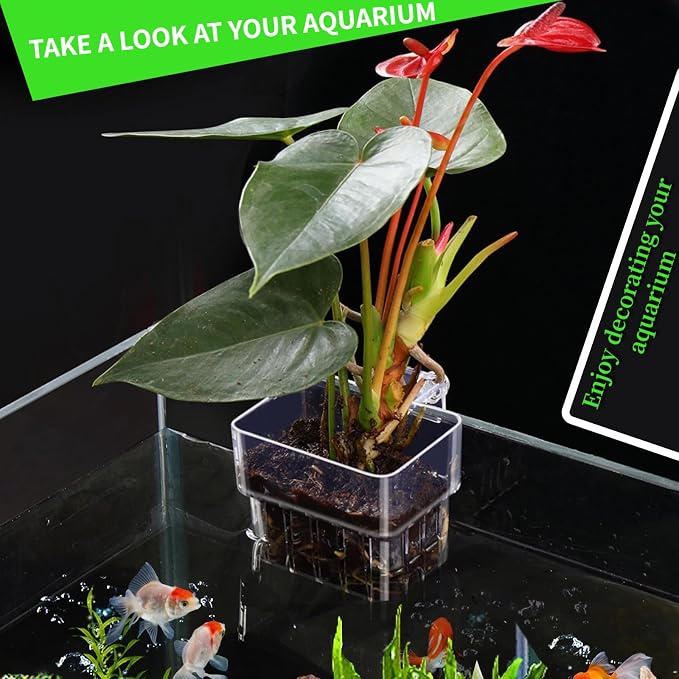 2 PCS Aquarium Plant Holder Top Hanging Fish Tank Plant Pot Aquarium Planter - Image 3