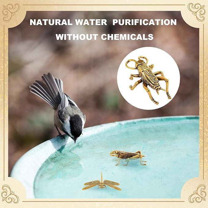 Moxweyeni 4 Pcs Mini Bird Bath Copper Ornaments Bird Bath Purification Disk - Image 6