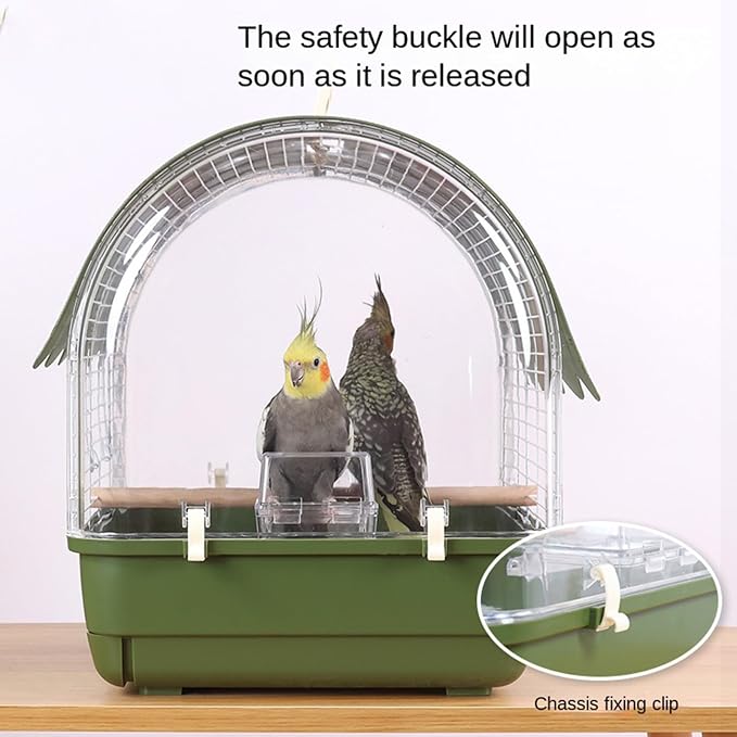Transparent Small Bird - Image 3