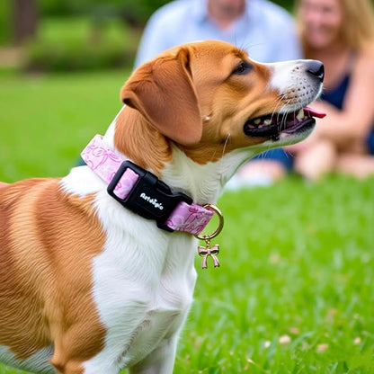 Large Dog Collar, Girl Boy Dog Collars - Image 5