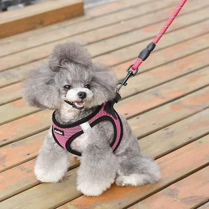 Dog Harness Step-in Breathable Puppy Cat Dog Vest Harnesses - Image 6