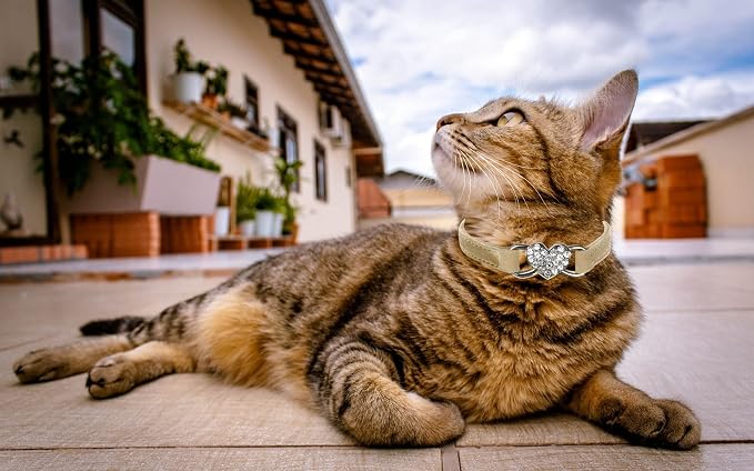 Heart Bling Cat Collar with Safety Belt and Bell Adjustable 8-10 inches - Image 6