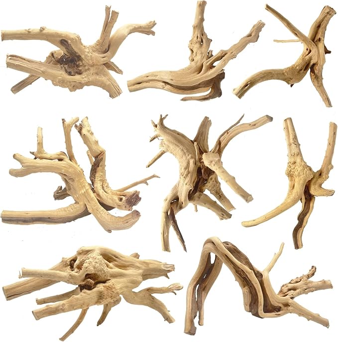 Jorewood Natural Small Spiderwood Driftwood by JOREWOOD